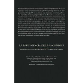 La inteligencia de las hormigas