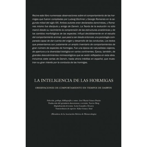 La inteligencia de las hormigas