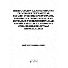 Introducción a las conductas criminales de fraude al seguro, incendios provocados, falsedades instrumentales o contables y cibercriminalidad