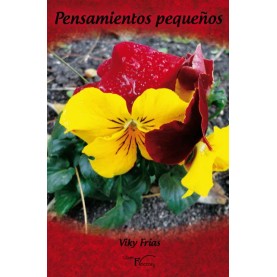 Pensamientos Pequeños