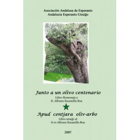 Junto a un olivo centenario