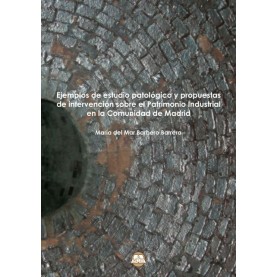 Ejemplos de estudio patológico y propuestas de intervención sobre el Patrimonio Industrial en la Comunidad de Madrid