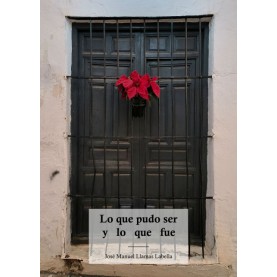 Lo que pudo ser y lo que fue