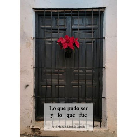Lo que pudo ser y lo que fue